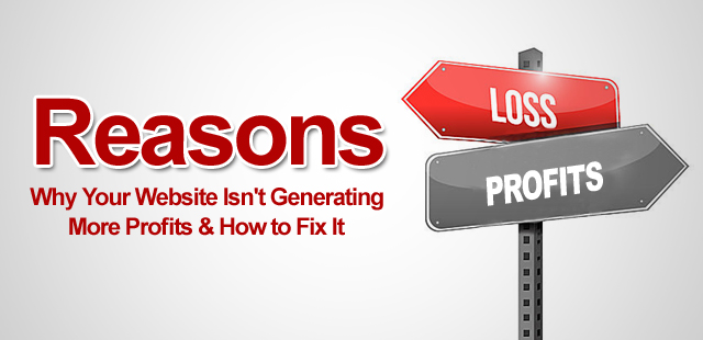 Reasons Why Your Website Isn't Generating More Profits & How to Fix It